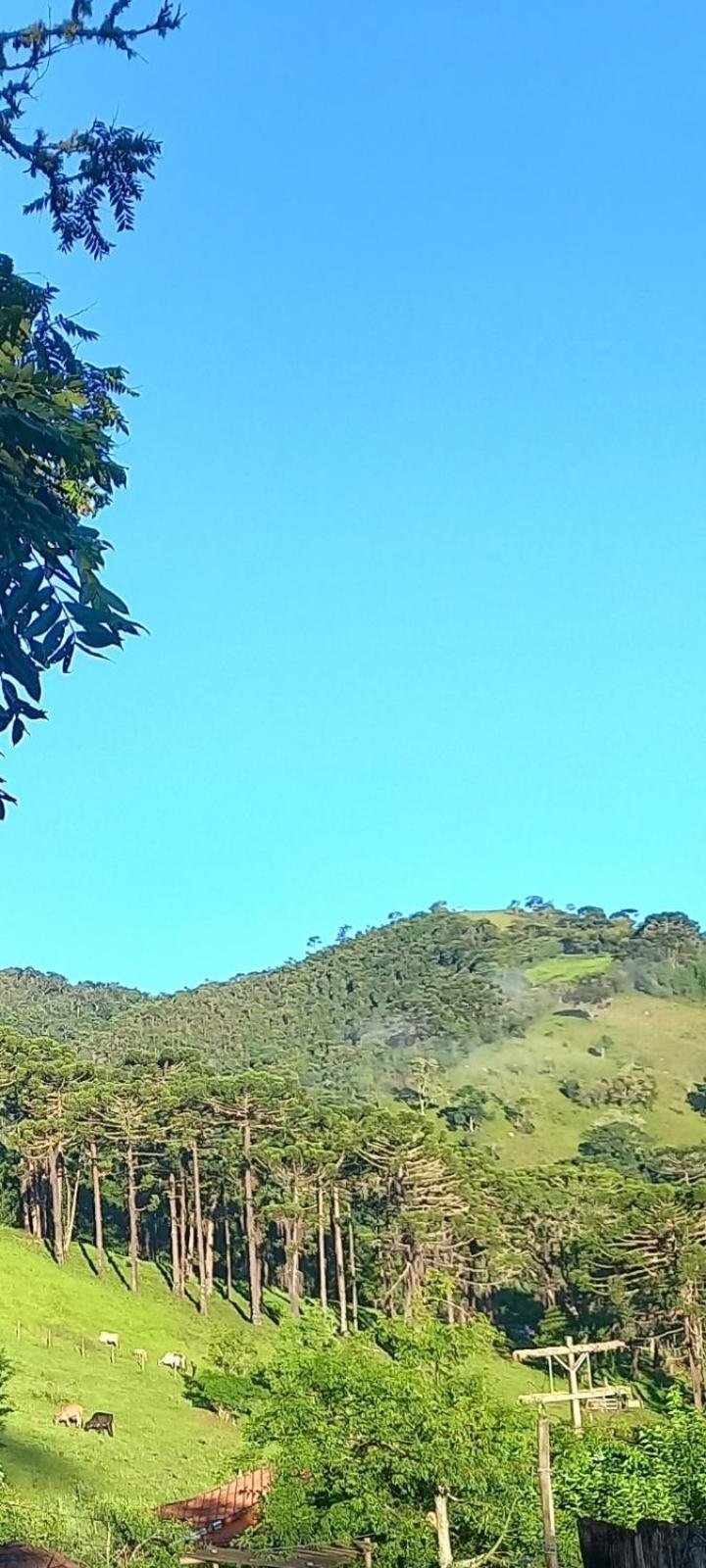 Chale 02 Beija Flor Holiday home
